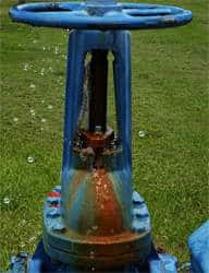 Emergency Commercial Plumbers -Tampa Plumbing Emergency Commercial Plumbers -Tampa Plumbing