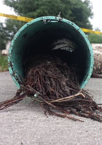 Apollo Beach Plumbing - Sewer Repair Apollo Beach Plumbing - Sewer Repair