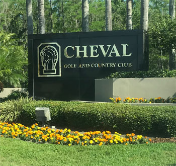 Cheval Plumber - Plumbers Near Me Cheval Plumber - Plumbers Near Me