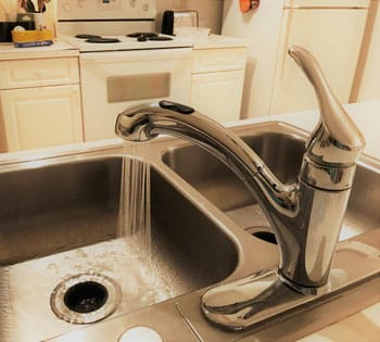 Temple Terrace Plumber - Plumbers Near Me Temple Terrace Plumber - Plumbers Near Me