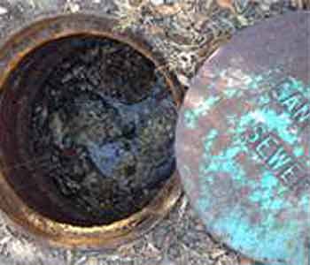 24/7 Emergency Commercial Plumbers in Tampa 24/7 Emergency Commercial Plumbers in Tampa